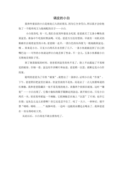 调皮的小白