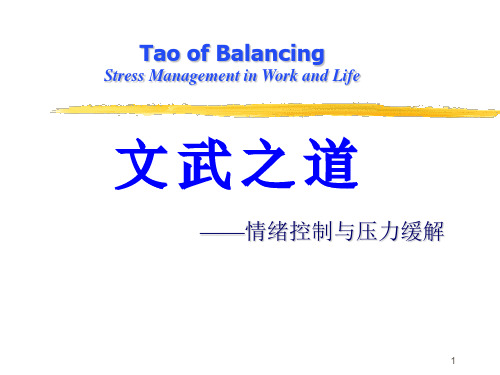 情绪控制与压力缓解PPT课件