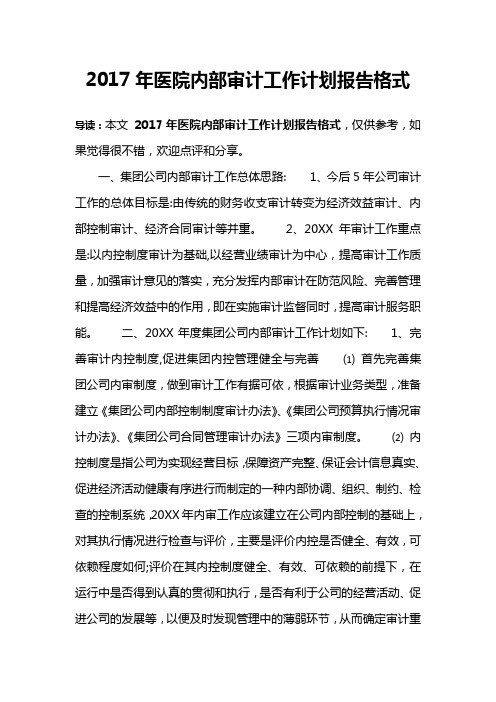 2017年医院内部审计工作计划报告格式
