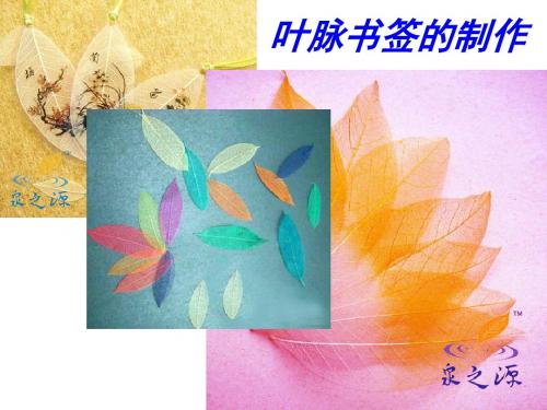 叶脉书签制作