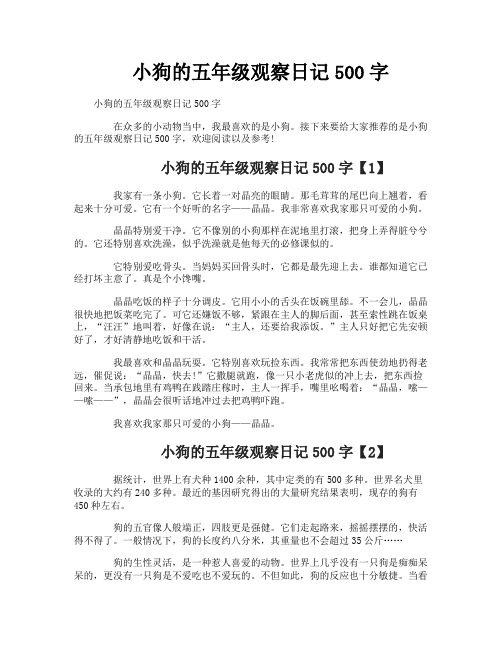 小狗的五年级观察日记500字
