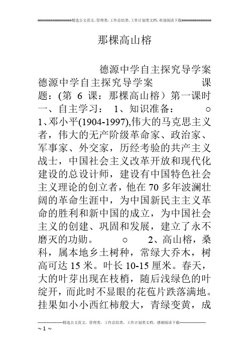 那棵高山榕