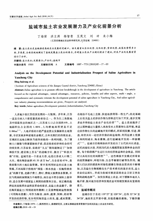 盐城市盐土农业发展潜力及产业化前景分析