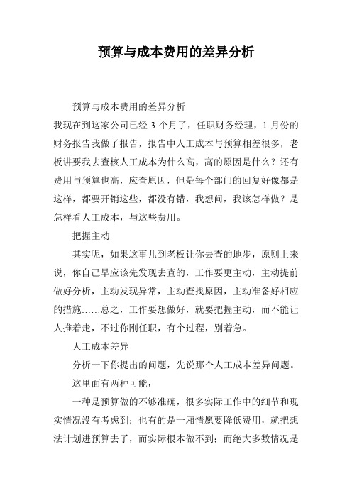 预算与成本费用的差异分析