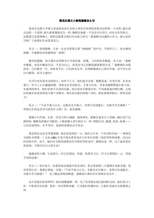 落花生课文小练笔蜜蜂怎么写 (2)