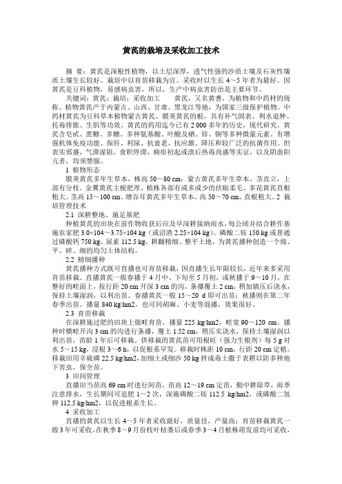 黄芪的栽培及采收加工技术