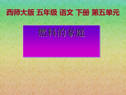 《燃料的家庭》PPT课件