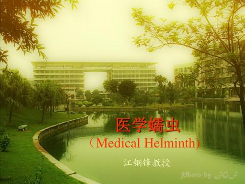 线虫、蛔虫(15)