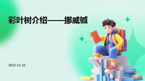 彩叶树介绍——挪威槭