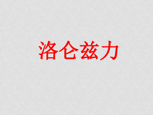 浙江省富阳市第二中学高考物理一轮复习 洛伦兹力课件
