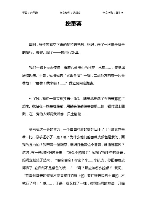 挖番薯作文【小学六年级600字】