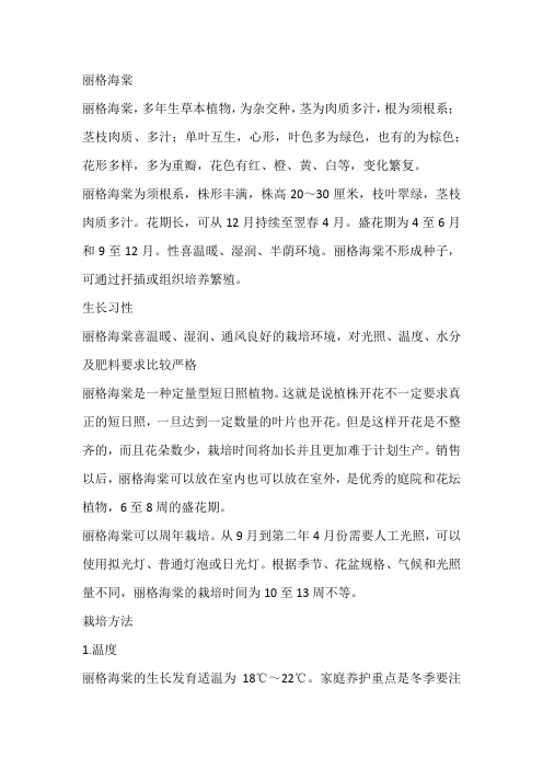 丽格海棠