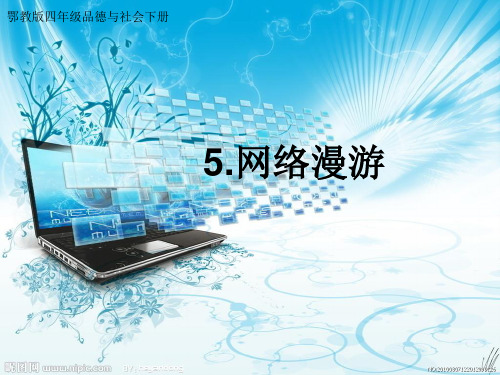 网络漫游ppt
