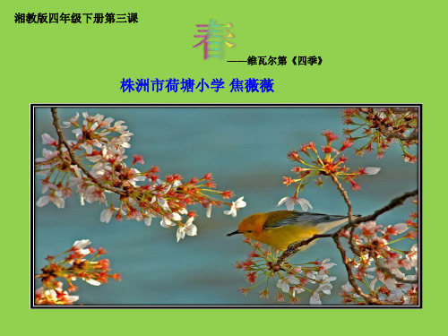 (听赏)春