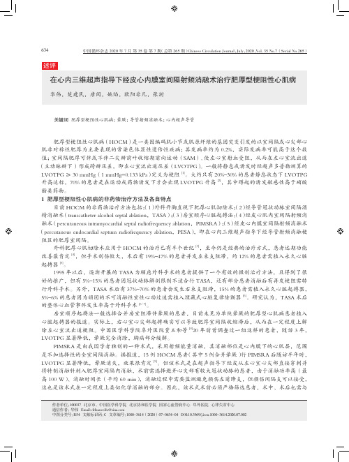 在心内三维超声指导下经皮心内膜室间隔射频消融术治疗肥厚型梗阻性心肌病