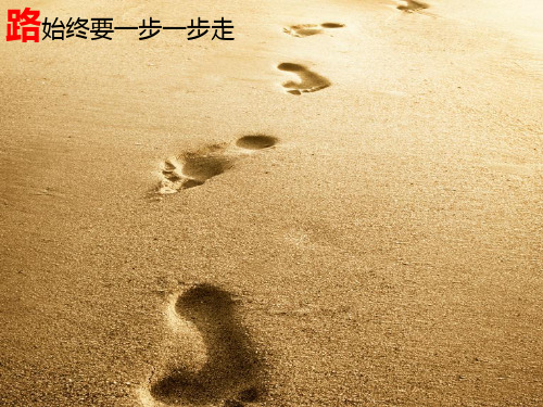 适合做励志报告的ppt背景--高三励志报告 共47页