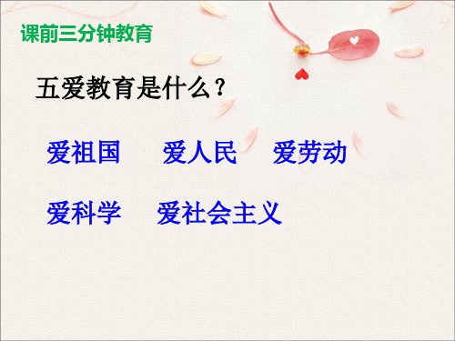 《居里夫人的伟大发现》20课件