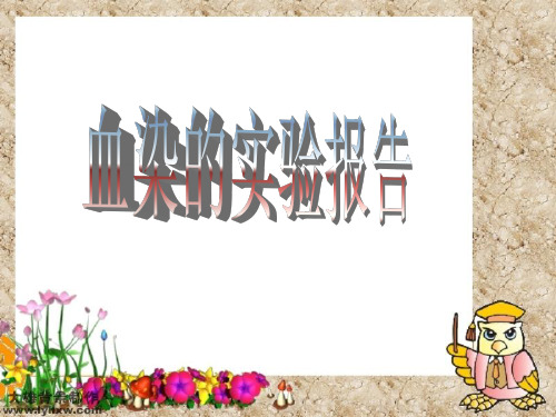 血染的实验报告