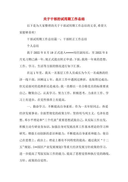 2019年关于干部的试用期工作总结