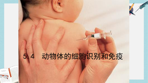 沪科版高中生命科学第二册5.4《动物体的细胞识别和免疫》ppt课件2