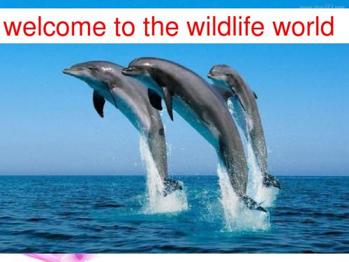 Unit 4 Wildlife protection-Reading