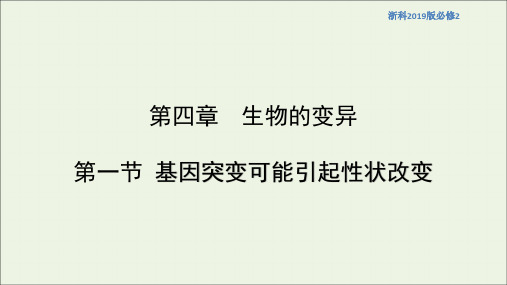 2021学年高中生物第四章生物的变异第一节基因突变可能引起性状改变课件1浙科版必修2