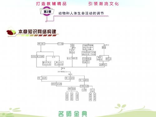 2014届高考生物(人教全国通用)一轮复习《必修3第2章动物和人体生命活动的细节》
