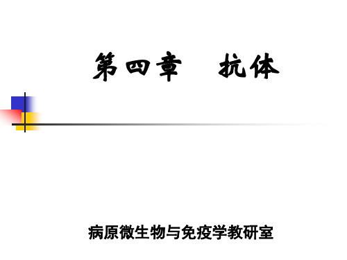 C4 抗体(医学免疫学)