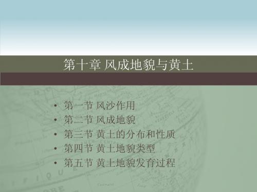 第十章 风沙黄土地貌