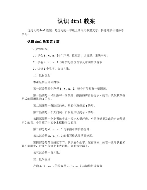 认识dtnl教案