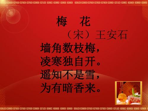 四季古诗之梅花王安石