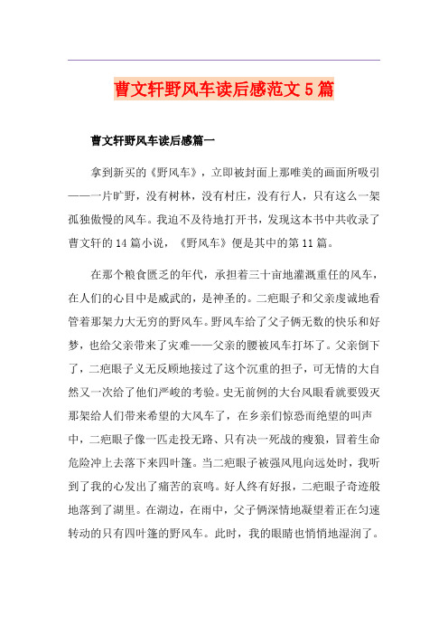 曹文轩野风车读后感范文5篇