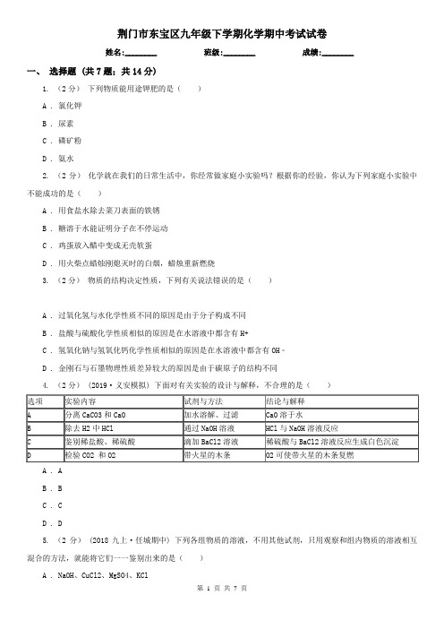 荆门市东宝区九年级下学期化学期中考试试卷