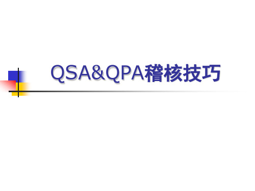 QSAQA稽核技巧PPT课件