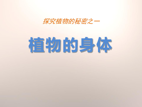 《植物的身体》湘教版四年级科学上册教材课件PPT(2篇)