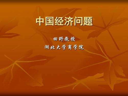 最新2019-中国经济问题-PPT课件