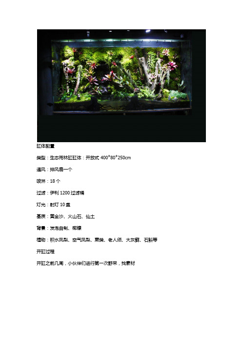 雨林缸开缸造景教程