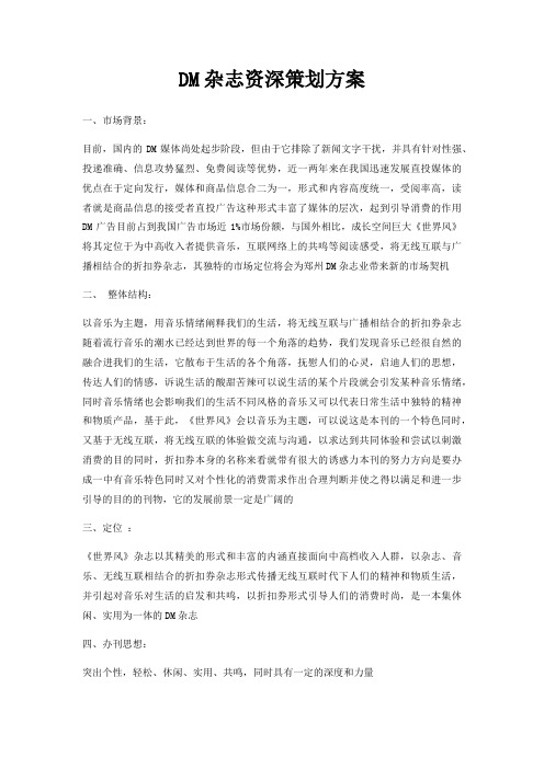 DM杂志资深策划方案