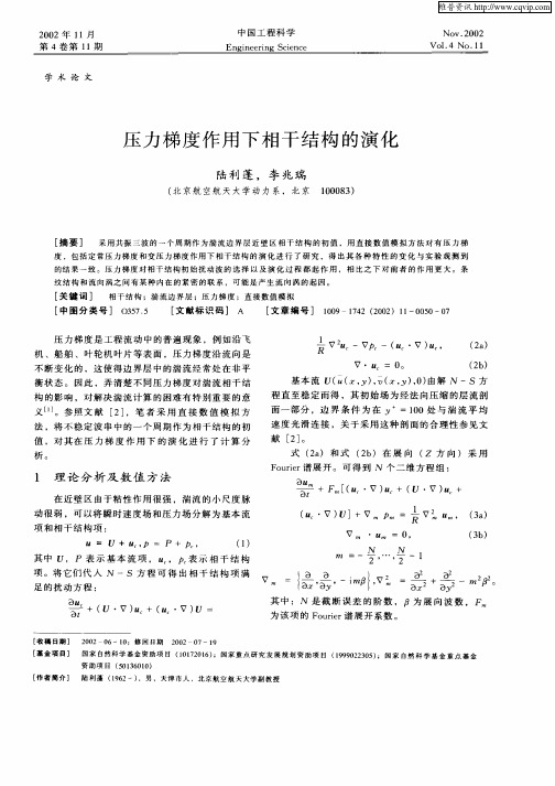 压力梯度作用下相干结构的演化