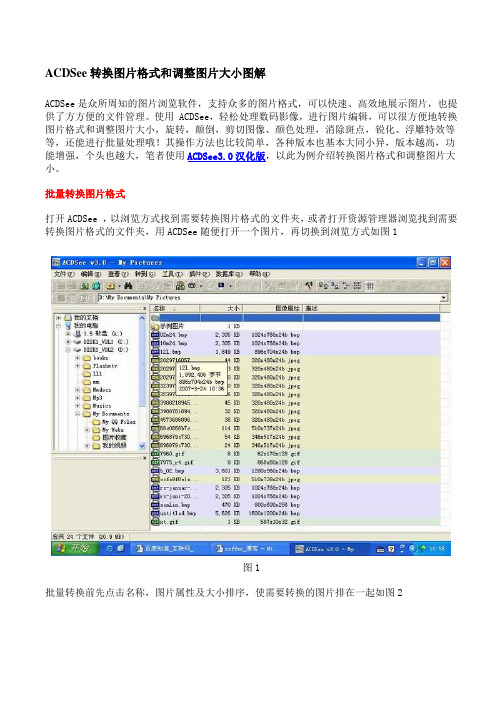 使用ACDSee转换图片格式和调整图片大小