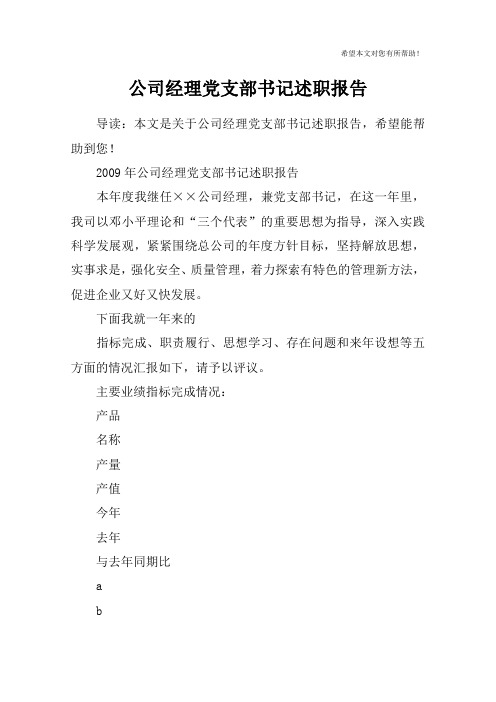 公司经理党支部书记述职报告