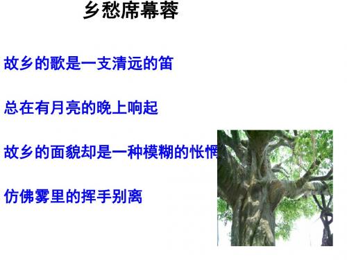 故乡的榕树ppt实用课件38