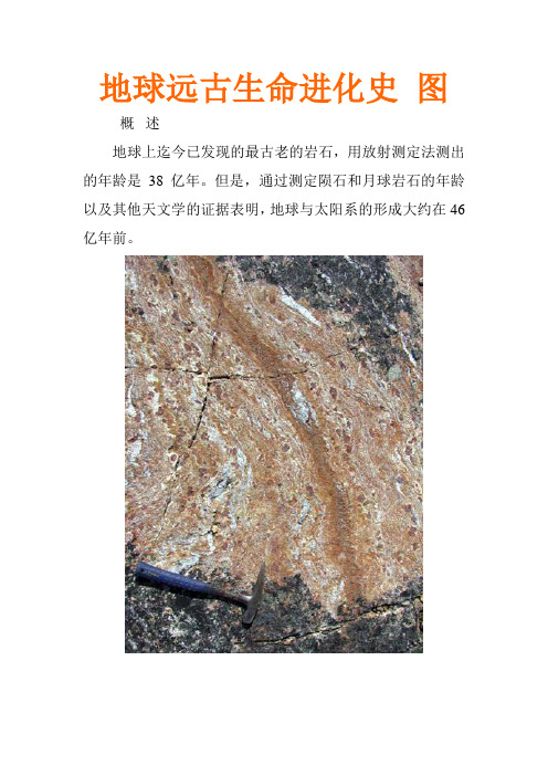 地球远古生命进化史 图
