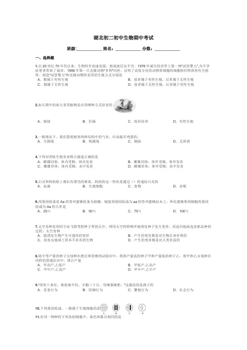 湖北初二初中生物期中考试带答案解析
