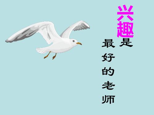 浙教版初中数学七年级上册 2.1  有理数的加法   课件 优品课件PPT