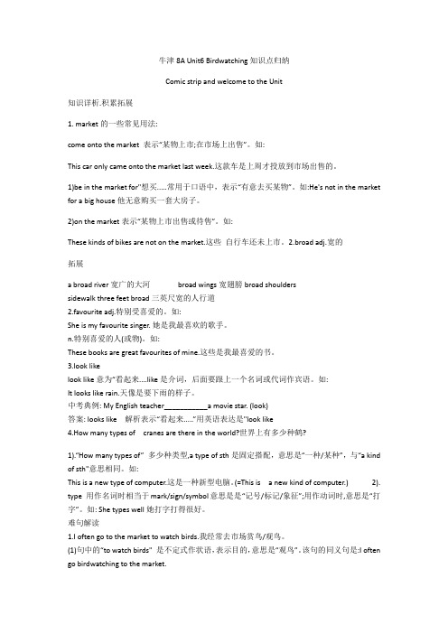 2020-2021学年八年级上册unit 6 Birdwatching知识点归纳