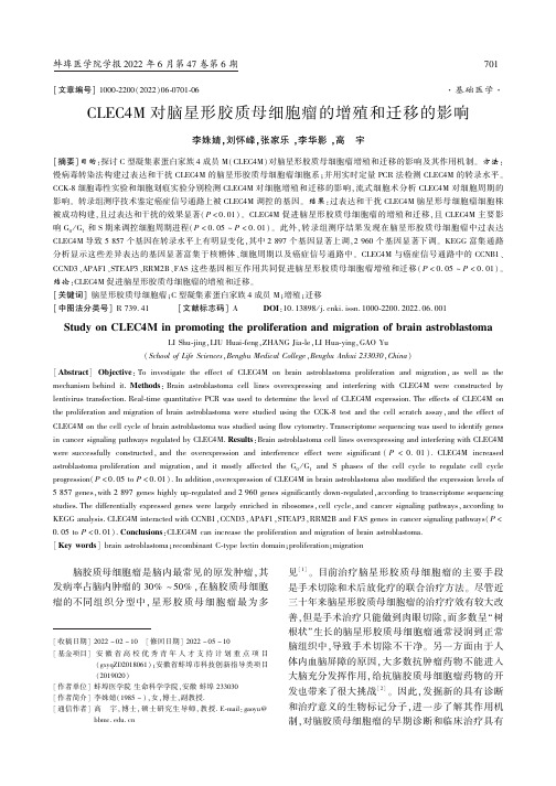 CLEC4M对脑星形胶质母细胞瘤的增殖和迁移的影响