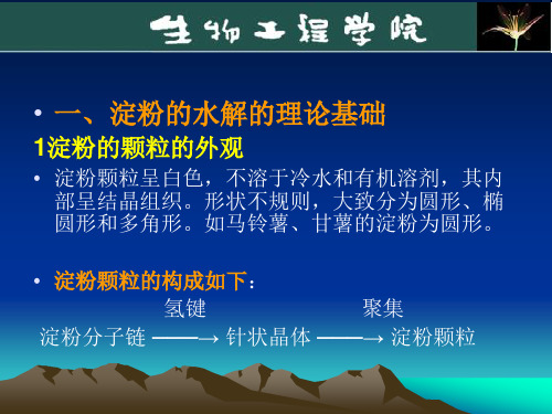 淀粉水解糖制备1-已看