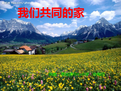 品社《我们共同的家》