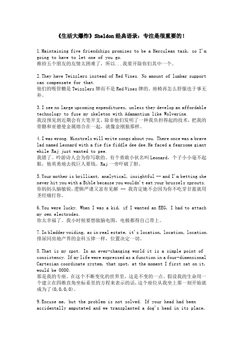 《生活大爆炸》Sheldon经典语录：专注是很重要的!